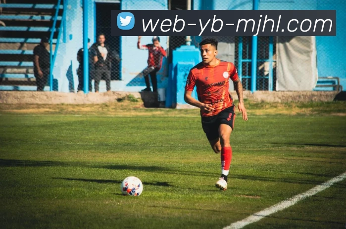 麻将胡了服务体系